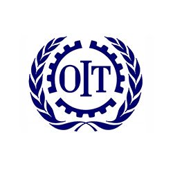 OIT